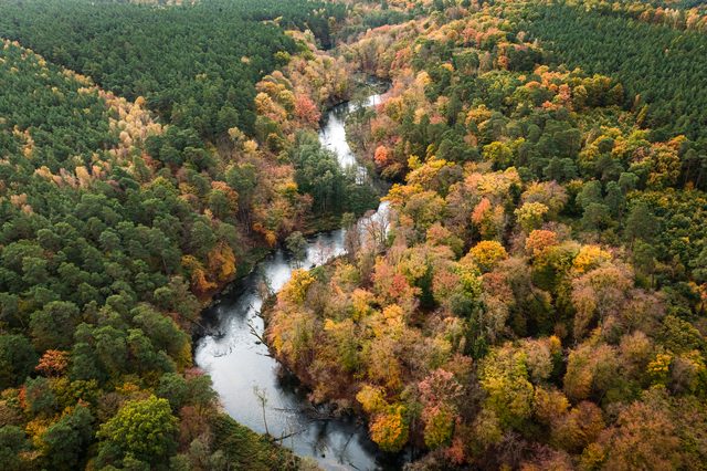 Aerial view of autumn river in Alabama forest representing divorce journey