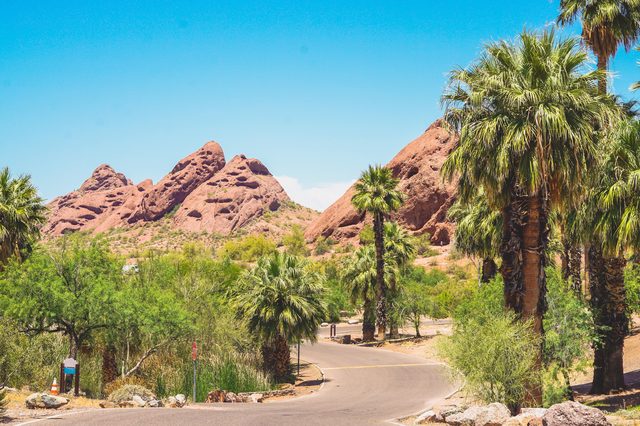 Arizona desert road with palm trees representing divorce pathways