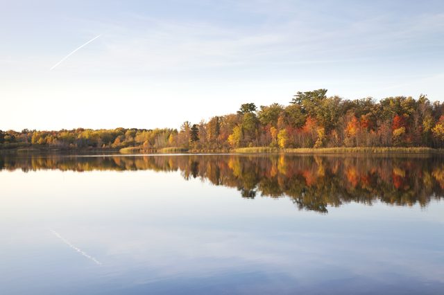 Colorful autumn treeline on calm lake in Connecticut representing divorce journey