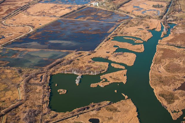 Delaware Divorce Filing Checklist: 2025 Guide