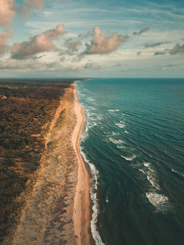 Delaware ocean beach and forest scene illustrating state child support enforcement tools including wage withholding and DCSS services