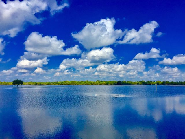 Beautiful blue skies and water in Florida