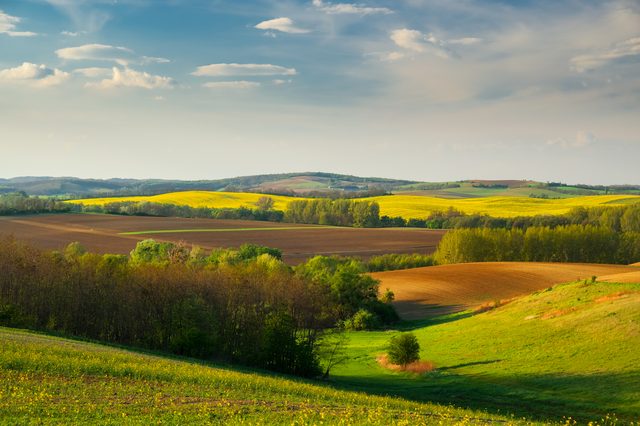 Iowa countryside landscape representing child custody and parenting plan guidance under Iowa Code