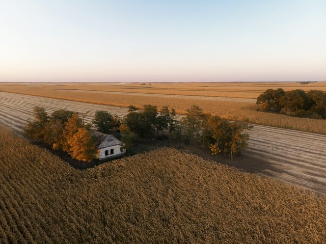 Iowa farmland landscape representing divorce self-help resources and DIY filing options in Iowa