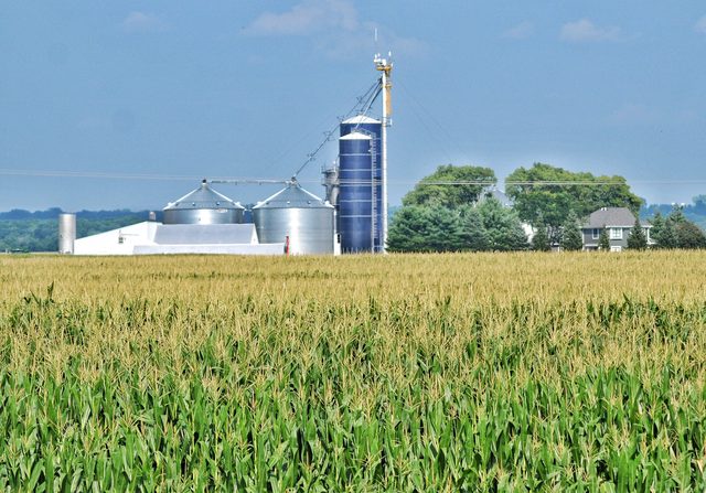 Iowa farmland landscape representing spousal support and divorce financial planning under Iowa Code section 598.21A