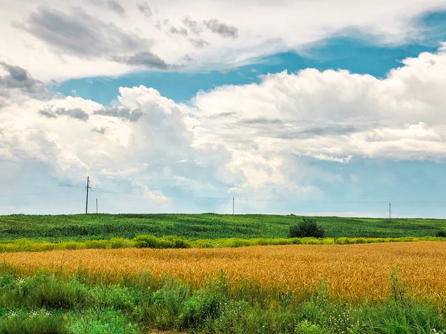Kansas wheat fields representing divorce property division