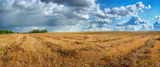 Kansas landscape representing child support enforcement tools under K.S.A. Title 23