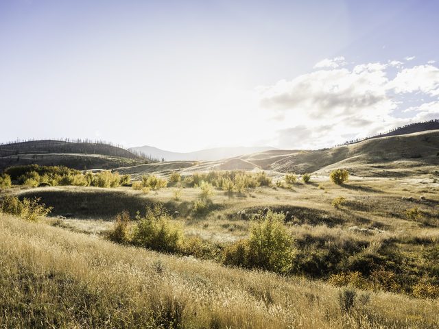 Montana highway landscape representing DIY divorce filing and mediation options