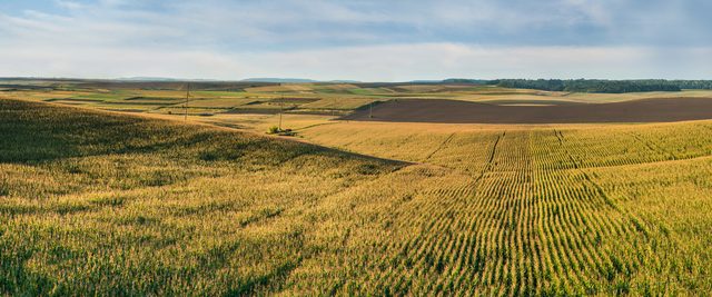 Nebraska farmland with golden cornfields at sunset representing divorce decisions in the Cornhusker State