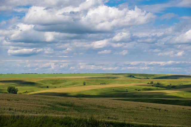 North Dakota child support enforcement tools including wage withholding and license suspension under state law