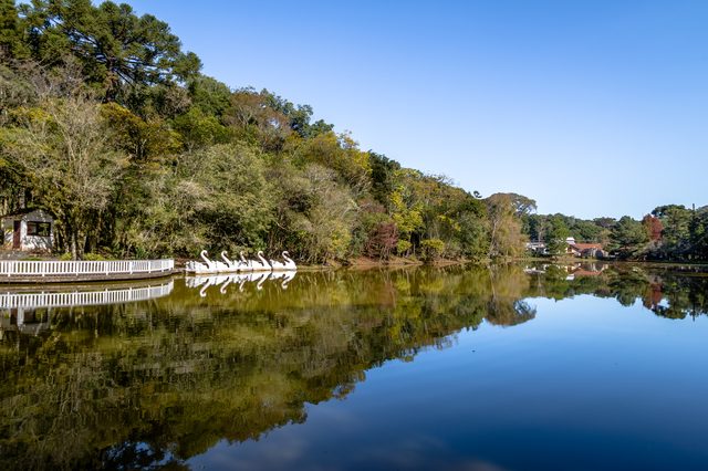 South Carolina lake landscape representing custody and parenting plan guidance