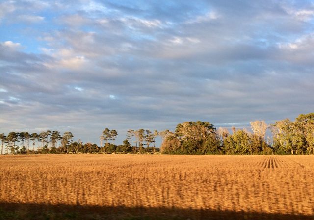 South Carolina golden hour countryside landscape representing separate property protection in divorce