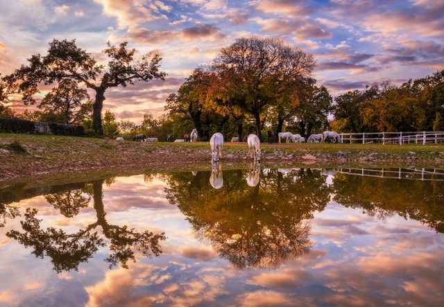 Texas Custody and Parenting Plans Guide