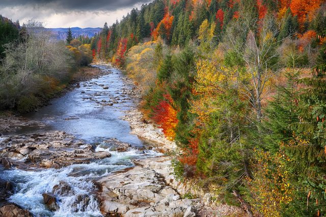 Scenic autumn creek in Vermont woods with colorful foliage