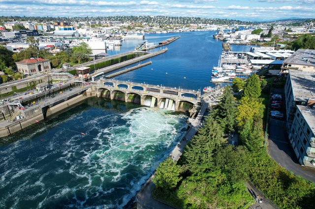 Seattle Ballard Locks representing fresh starts in divorce