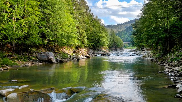 Mountain forest landscape in West Virginia representing divorce journey options