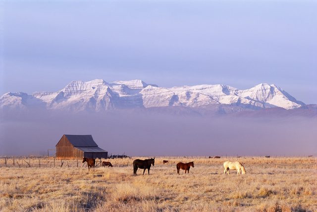 Wyoming valley landscape representing DIY divorce filing and self-help forms