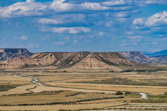 Wyoming Uncontested vs Contested Divorce